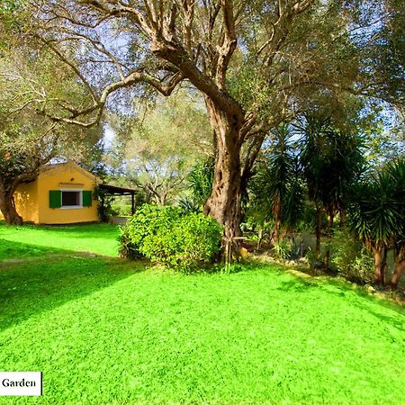 House In The Olive Garden Διαμέρισμα Άγιος Ιωάννης Εξωτερικό φωτογραφία