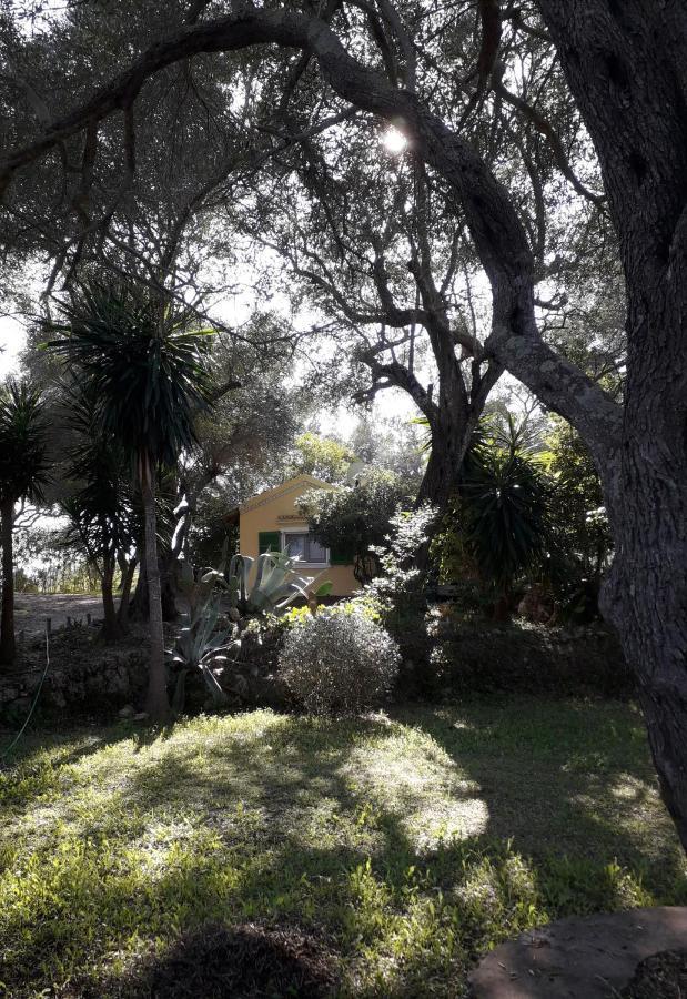 House In The Olive Garden Διαμέρισμα Άγιος Ιωάννης Εξωτερικό φωτογραφία