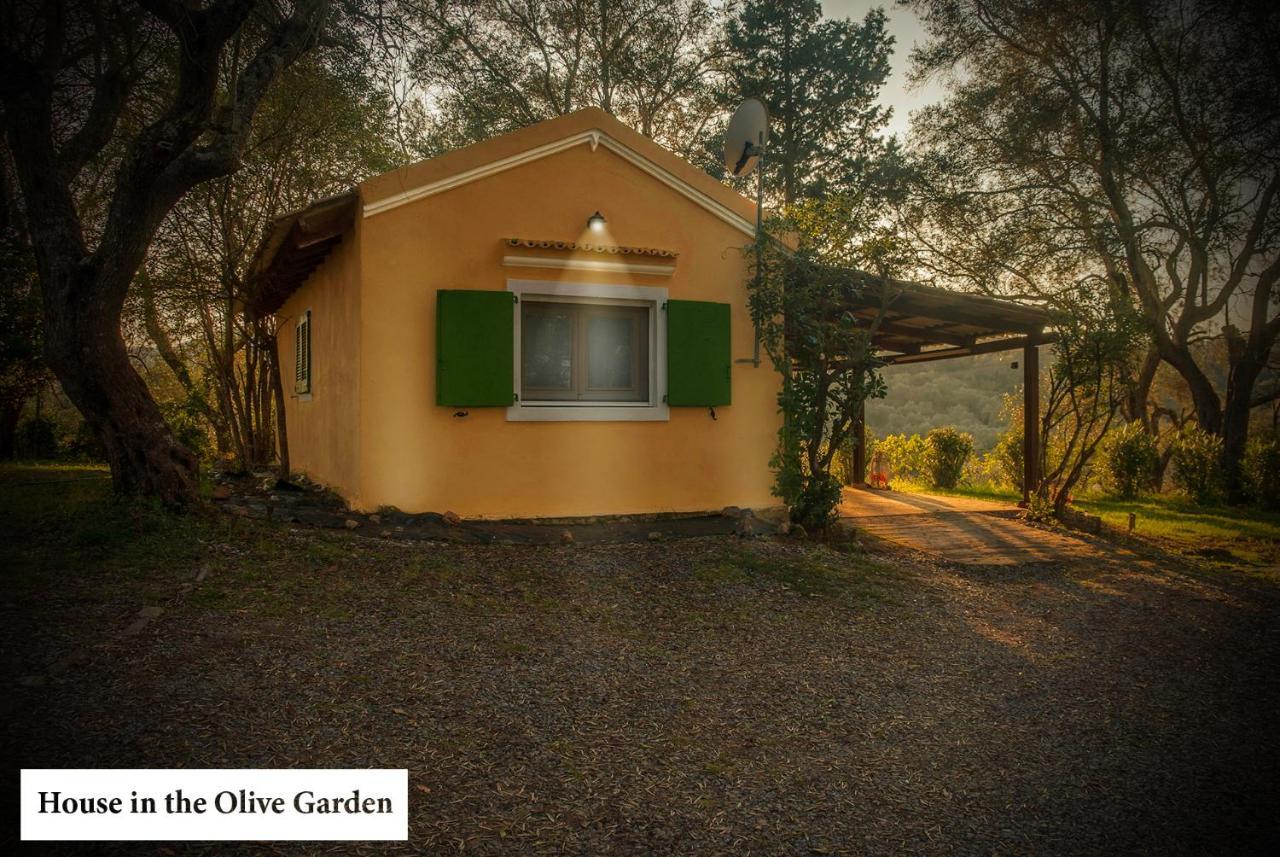 House In The Olive Garden Διαμέρισμα Άγιος Ιωάννης Εξωτερικό φωτογραφία