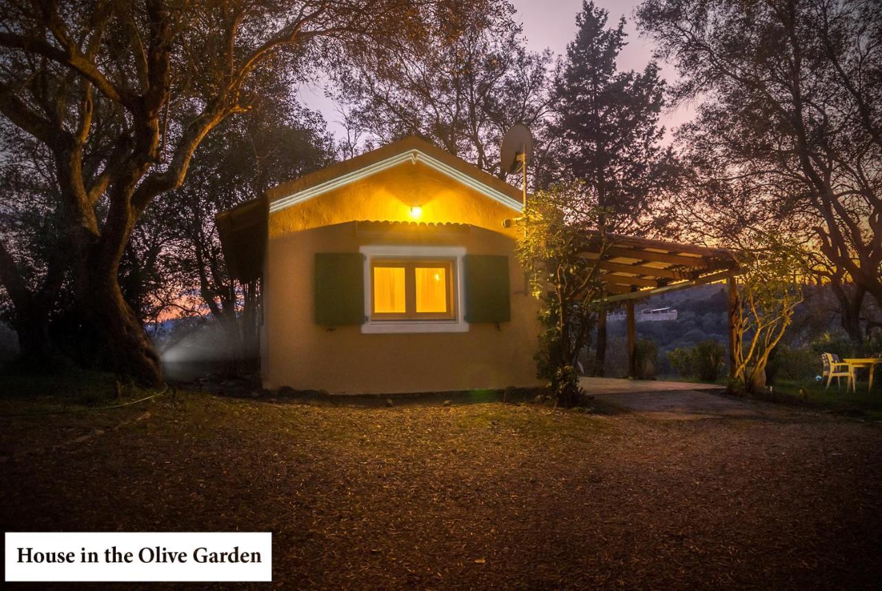House In The Olive Garden Διαμέρισμα Άγιος Ιωάννης Εξωτερικό φωτογραφία
