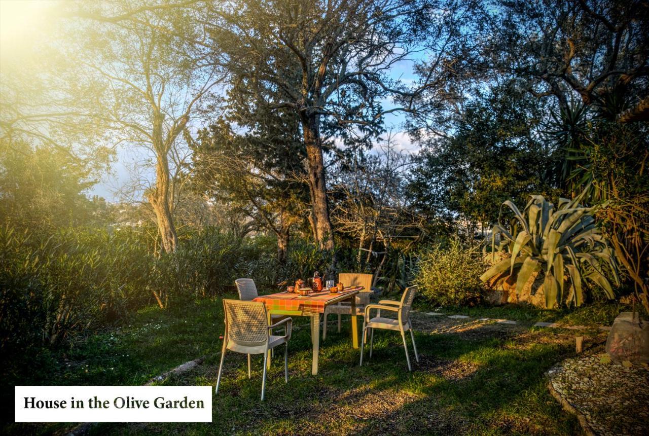 House In The Olive Garden Διαμέρισμα Άγιος Ιωάννης Εξωτερικό φωτογραφία