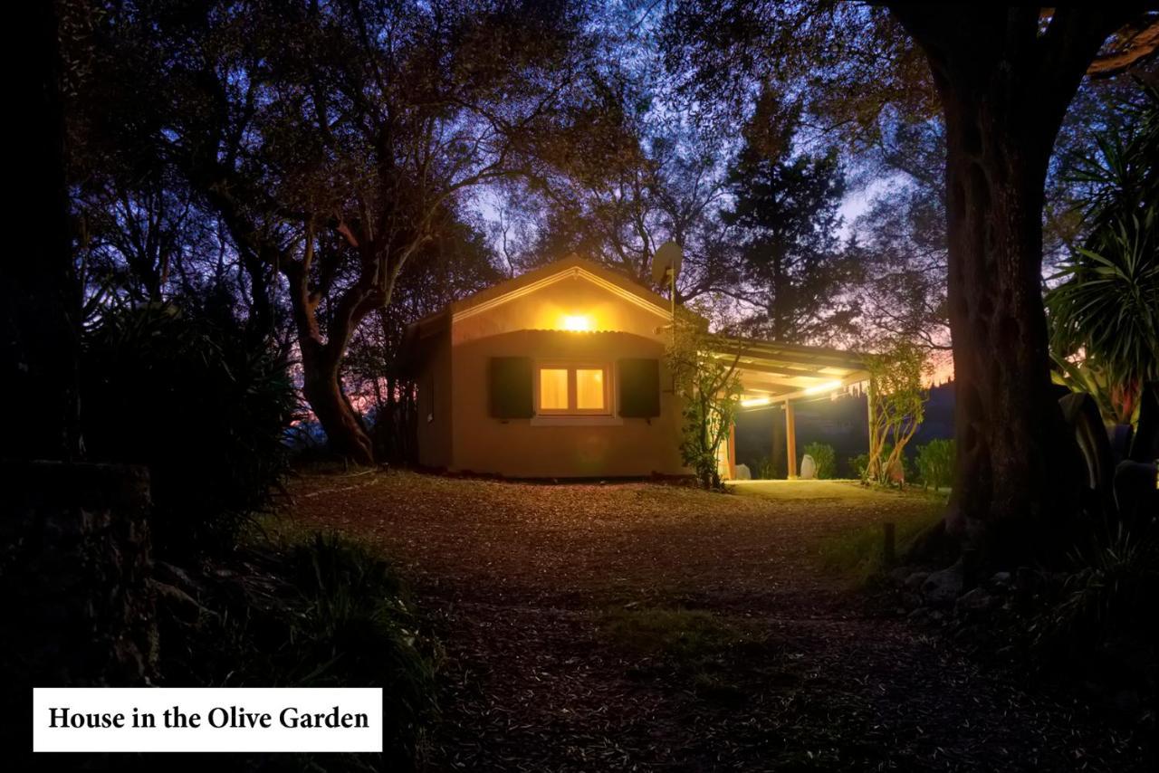 House In The Olive Garden Διαμέρισμα Άγιος Ιωάννης Εξωτερικό φωτογραφία