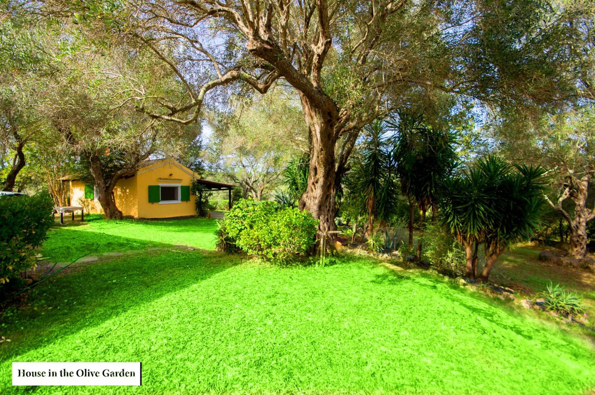 House In The Olive Garden Διαμέρισμα Άγιος Ιωάννης Εξωτερικό φωτογραφία