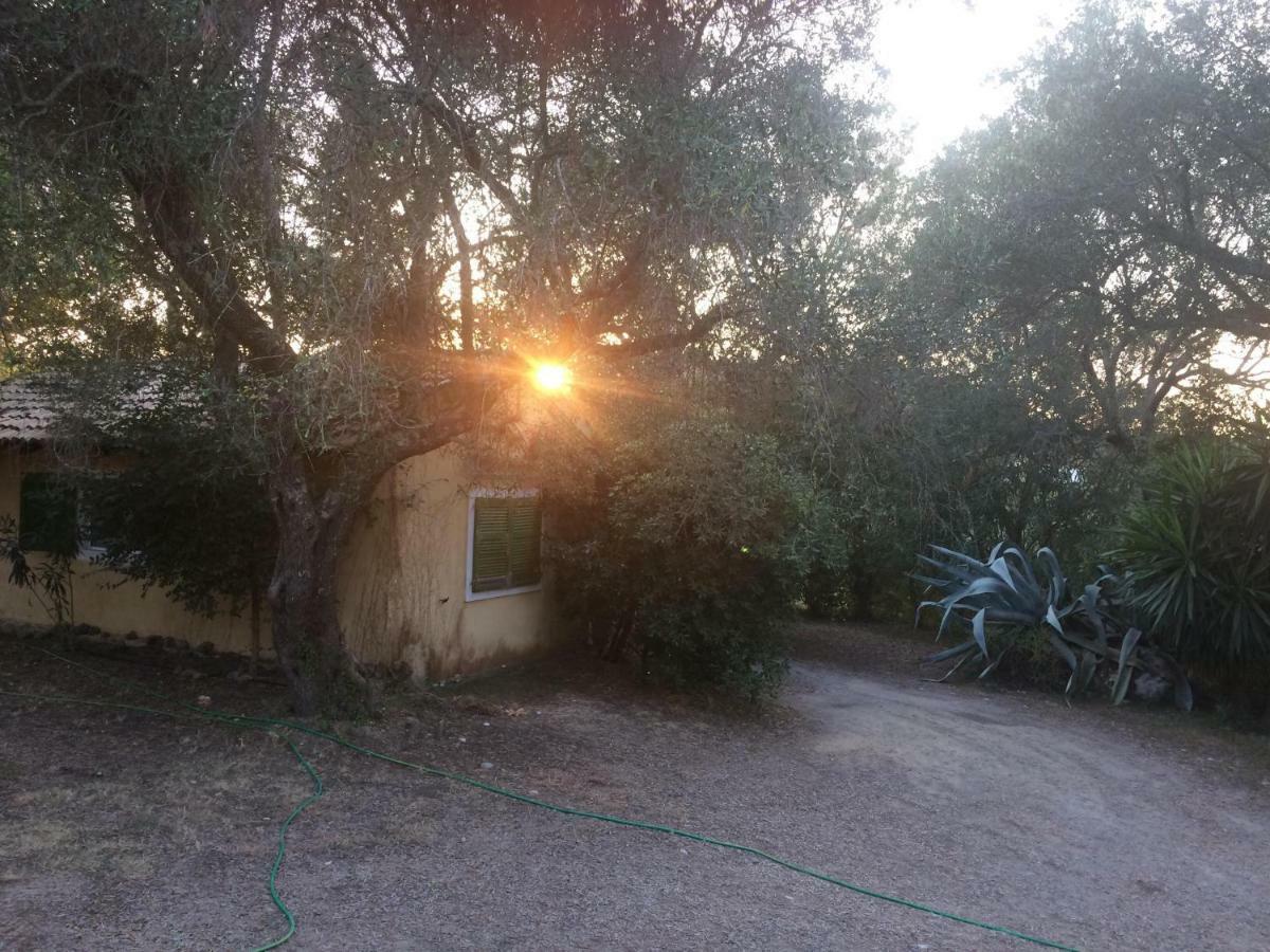 House In The Olive Garden Διαμέρισμα Άγιος Ιωάννης Εξωτερικό φωτογραφία