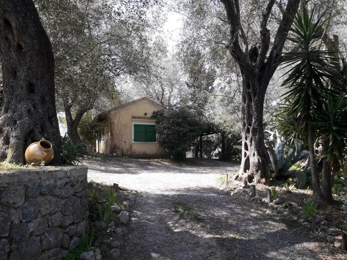 House In The Olive Garden Διαμέρισμα Άγιος Ιωάννης Εξωτερικό φωτογραφία