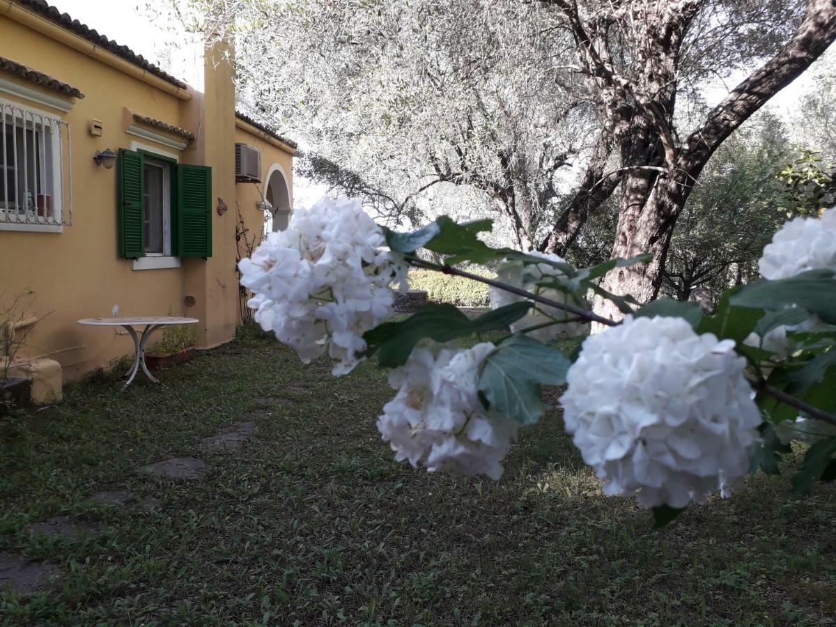 House In The Olive Garden Διαμέρισμα Άγιος Ιωάννης Εξωτερικό φωτογραφία