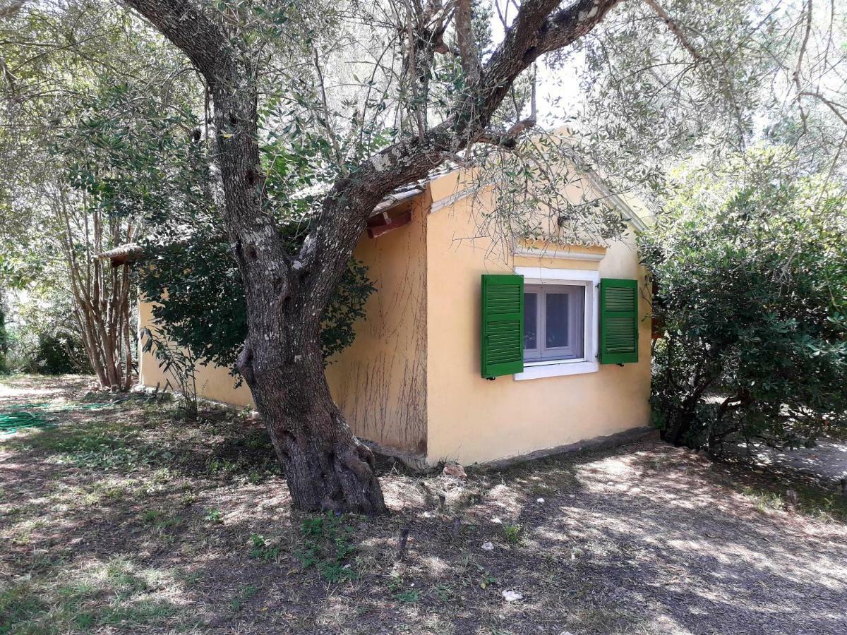 House In The Olive Garden Διαμέρισμα Άγιος Ιωάννης Εξωτερικό φωτογραφία