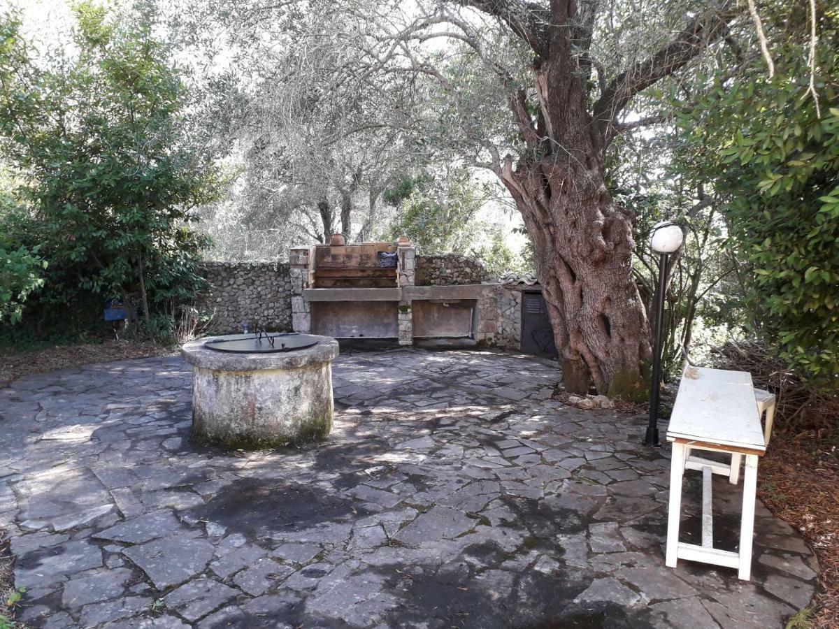 House In The Olive Garden Διαμέρισμα Άγιος Ιωάννης Εξωτερικό φωτογραφία